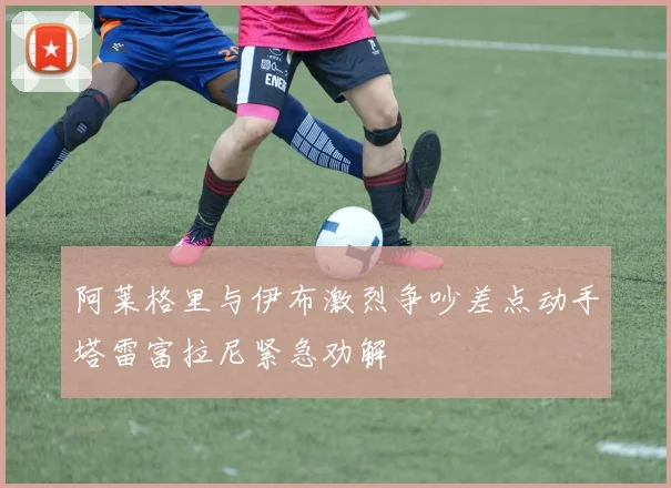 阿莱格里与伊布激烈争吵差点动手塔雷富拉尼紧急劝解